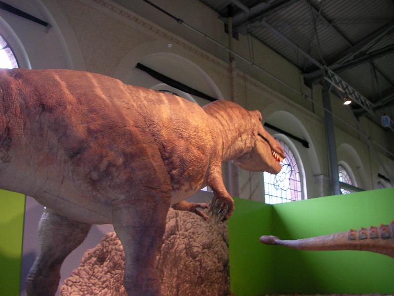 LV Zeltlager 2008 100.jpg